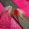 Gold Feather Dangle Hoop Earrings - Image 7